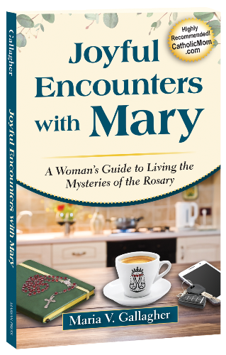 JOYFUL ENCOUNTERS WITH MARY: A WOMAN'S GUIDE TO LIVING THE MYSTERIES OF THE ROSARY