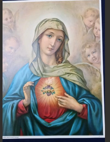 IMMACULATE HEART POSTER - 13 X 17