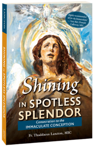 Shining in Spotless Splendor: Consecration to the Immaculate Conception