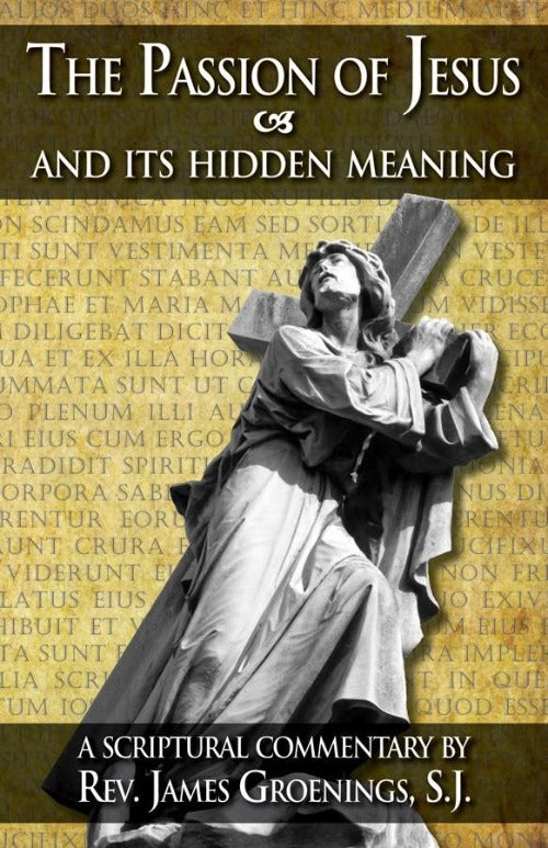 Passion of Jesus and Its Hidden Meaning - Rev Fr James Groenings