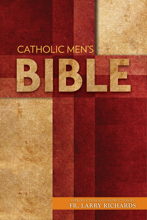 CATHOLIC MEN'S BIBLE - RICHARDS, FR LARRY