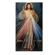 Load image into Gallery viewer, Divine Mercy Icon with Holy Card
