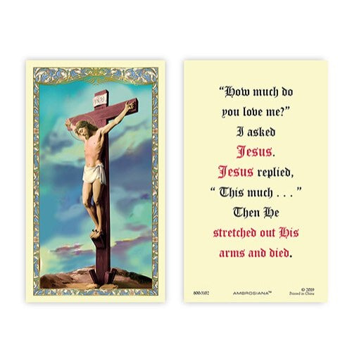 I ASKED JESUS CRUCIFIXION IMAGE HOLY CARD