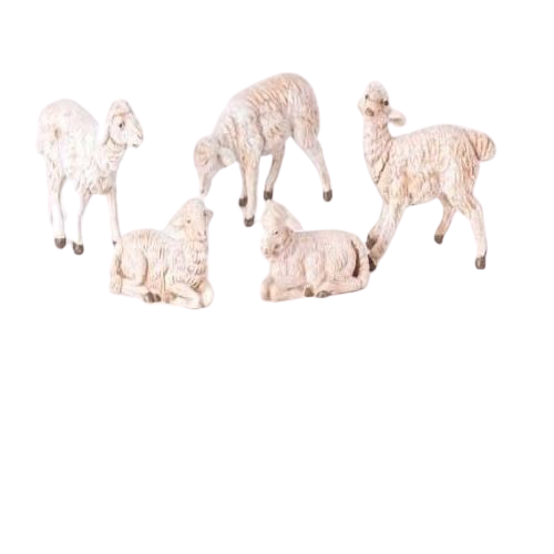 SHEEP - (WHITE ON BROWN) - 5 PC - 5